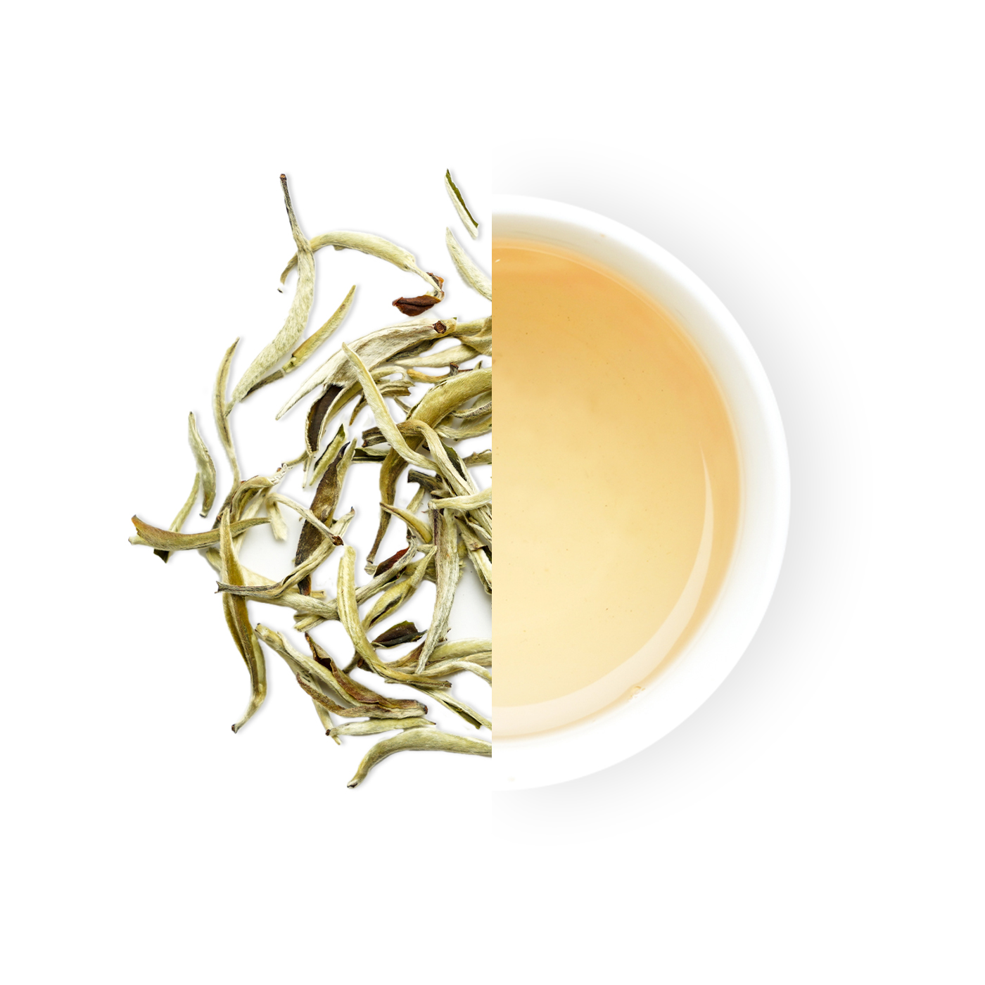 Silver Needle White Tea '26