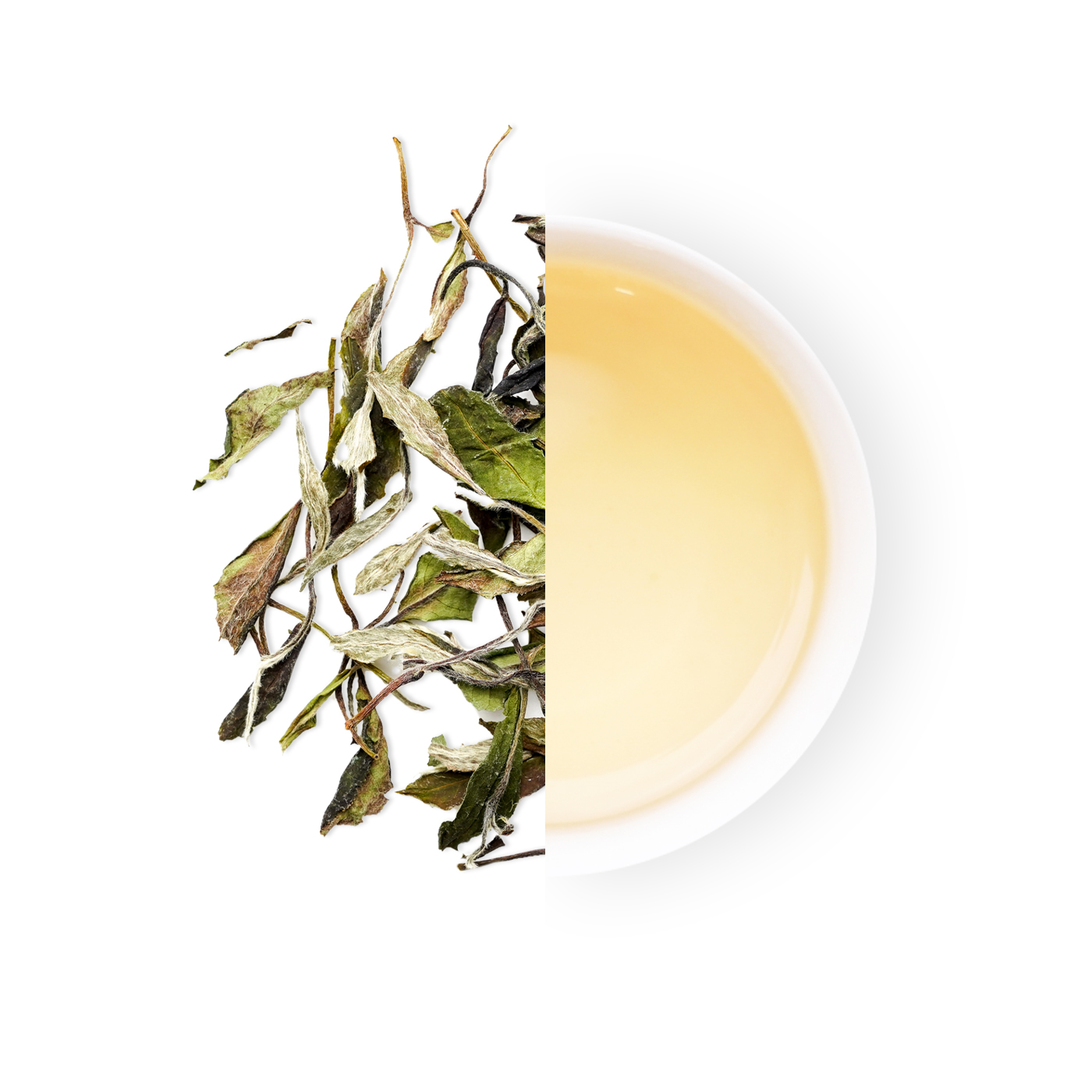 Wild Peony White Tea '25